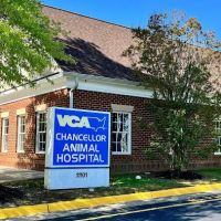 VCA Chancellor Animal Hospital ico