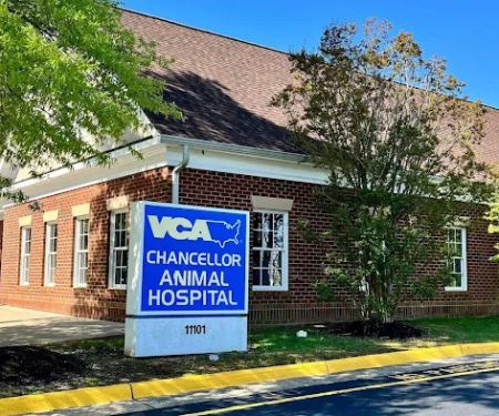 VCA Chancellor Animal Hospital