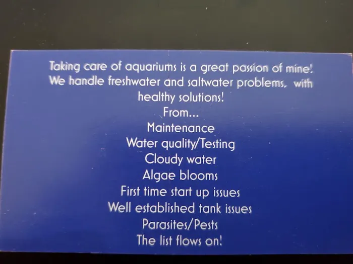 Apollo's aquarium solutions Picture 4