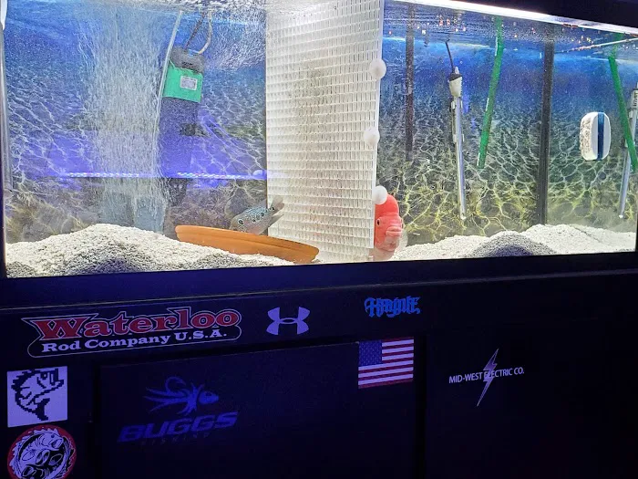 Apollo's aquarium solutions Picture 2