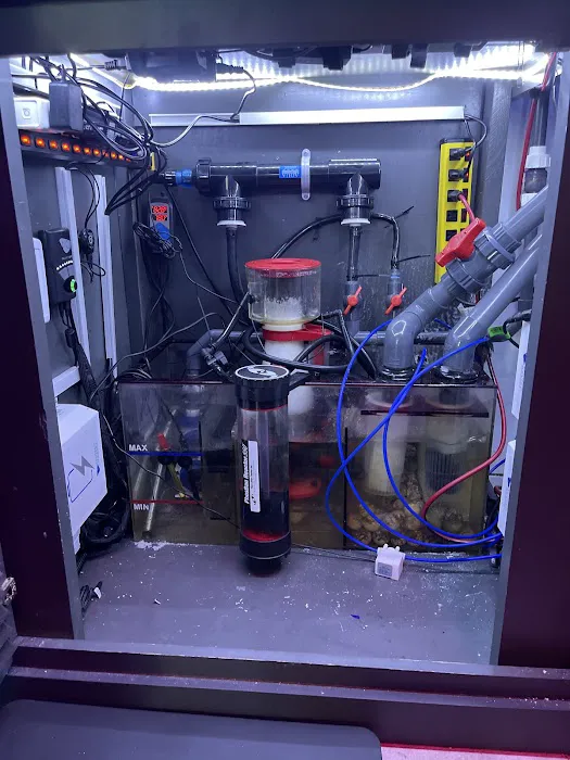 Apollo's aquarium solutions Picture 9
