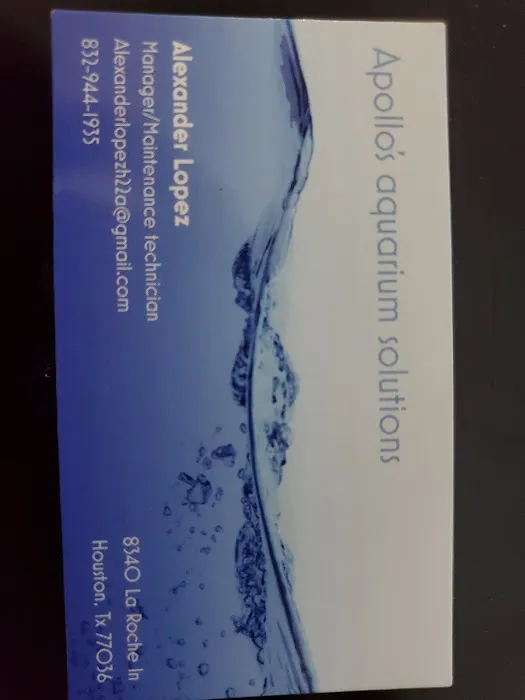 Apollo's aquarium solutions Picture 8