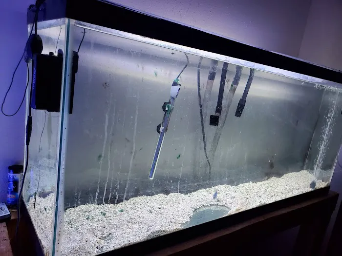 Apollo's aquarium solutions Picture 6