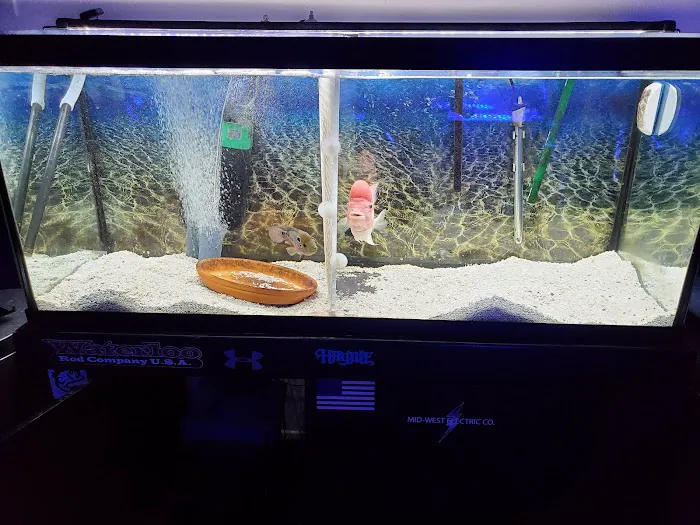 Apollo's aquarium solutions Picture 1