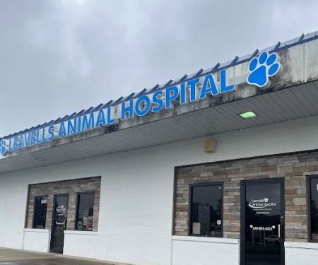 Leavells Animal Hospital