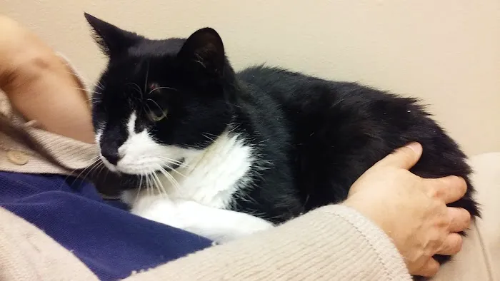 Leavells Animal Hospital Picture 2