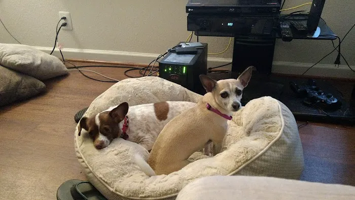 Leavells Animal Hospital Picture 5