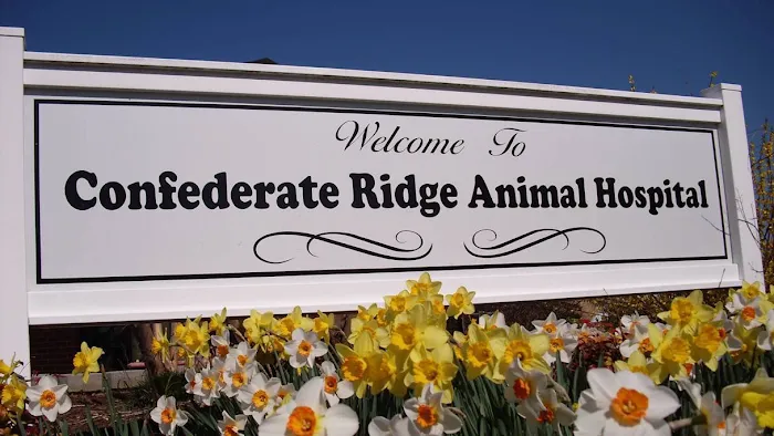 Confederate Ridge Animal Hospital Picture 5