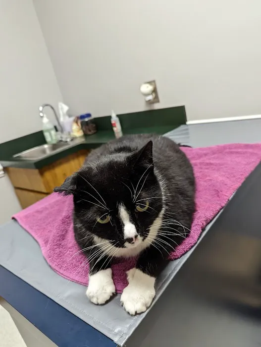 Confederate Ridge Animal Hospital Picture 7