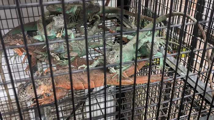 S & S Exotic Animals Inc Picture 1