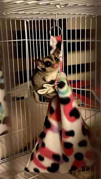 S & S Exotic Animals Inc Picture 7
