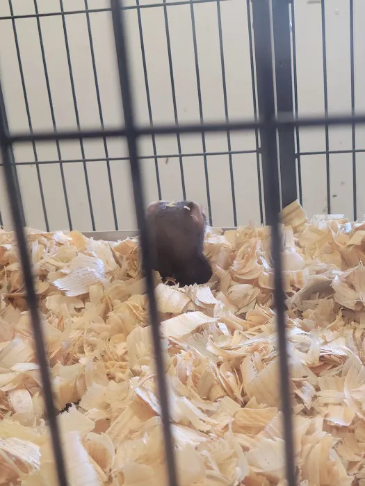 S & S Exotic Animals Inc Picture 5