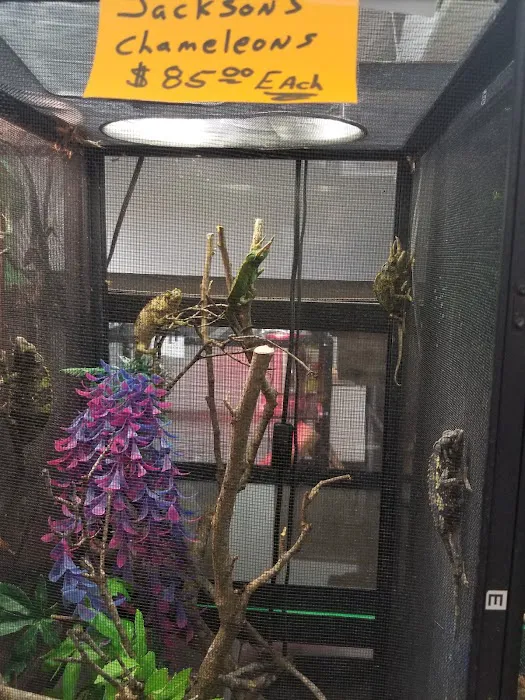 S & S Exotic Animals Inc Picture 8