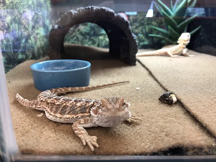 Petco Picture 4