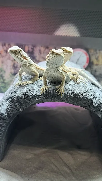 Petco Picture 2