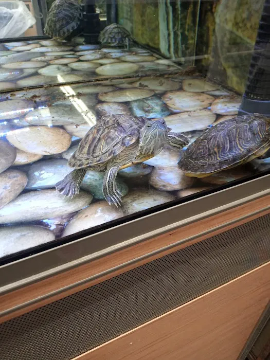 Petco Picture 3