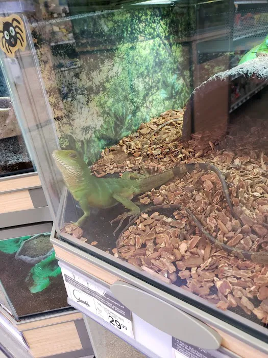 Petco Picture 10