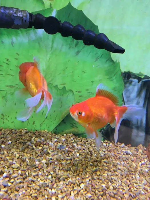 Petco Picture 5