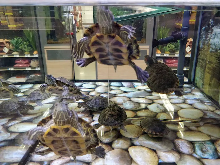 Petco Picture 6