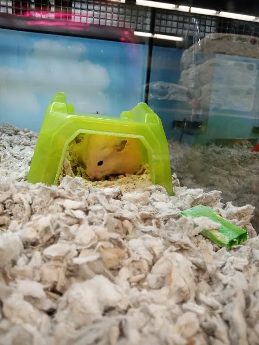 Petco Picture 7