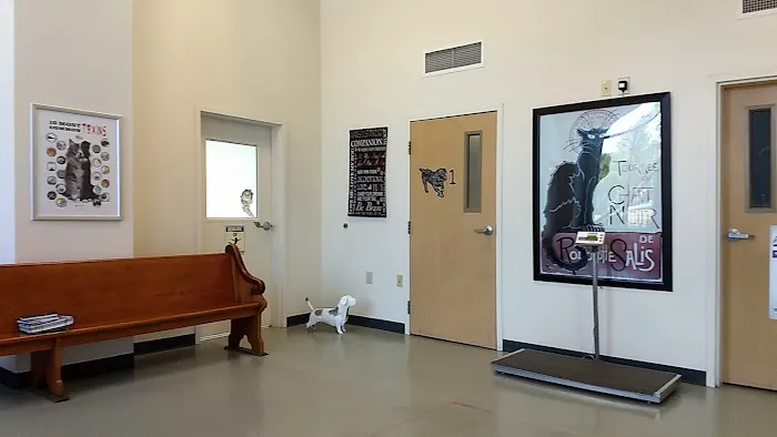 St. Francis Animal Hospital Picture 1