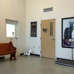 St. Francis Animal Hospital