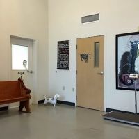 St. Francis Animal Hospital ico