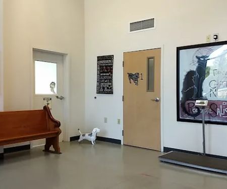 St. Francis Animal Hospital