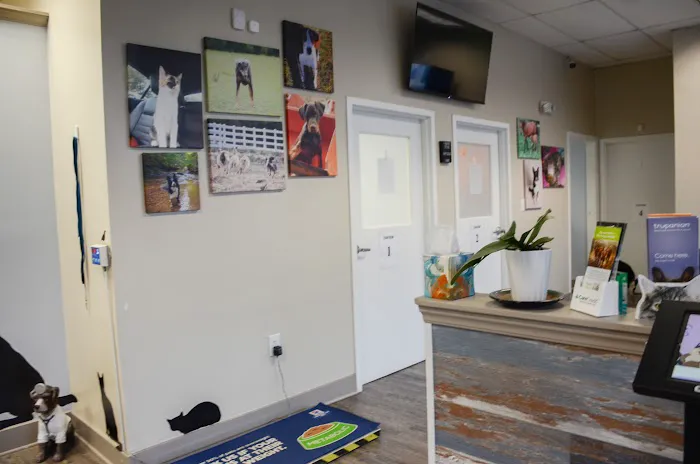 Compassion Veterinary Center Picture 3