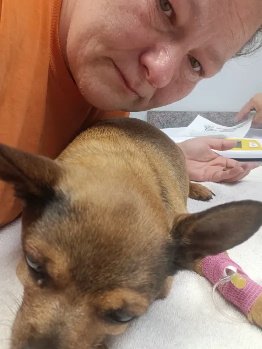 Compassion Veterinary Center Picture 8