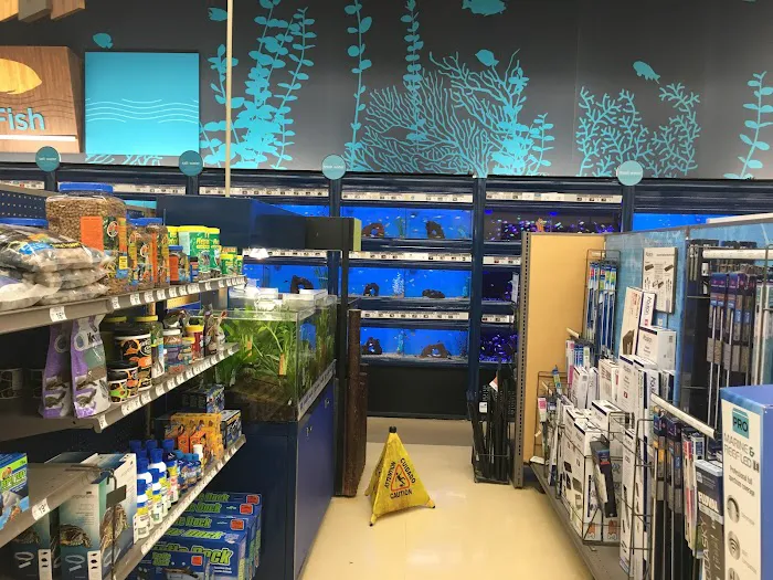 Petco Picture 3