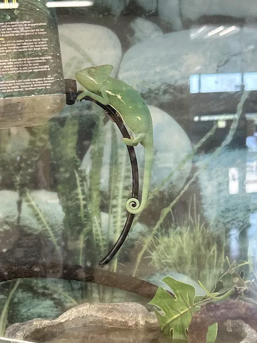 Petco Picture 10