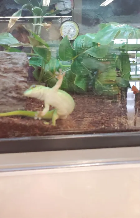 Petco Picture 8