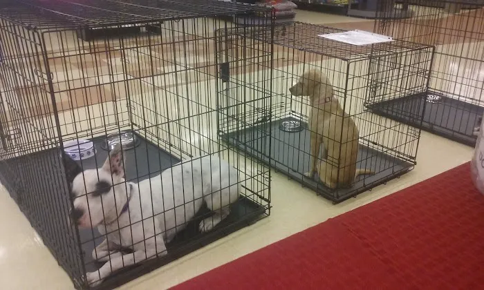 Petco Picture 5