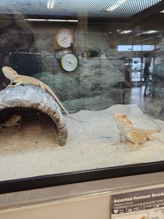 Petco Picture 1