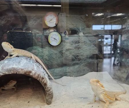 Petco