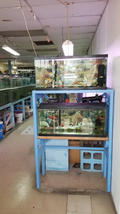 Inwood Aquarium Picture 5