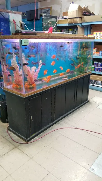 Inwood Aquarium Picture 3