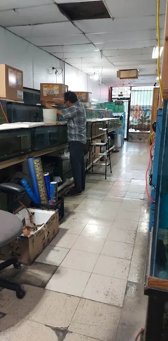 Inwood Aquarium Picture 7