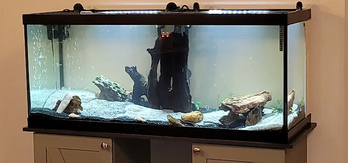 Inwood Aquarium Picture 10