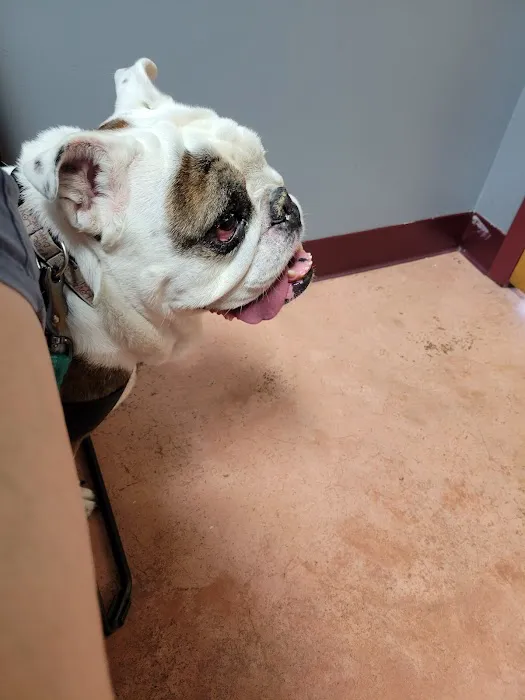 Tidewater Trail Animal Hospital Picture 1