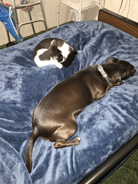 Tidewater Trail Animal Hospital Picture 7