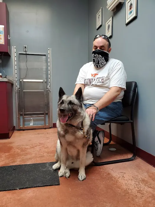 Tidewater Trail Animal Hospital Picture 6