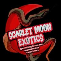 Scarlet Moon Exotics ico