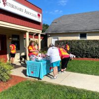 Johnstown Veterinary Associates - Johnstown ico