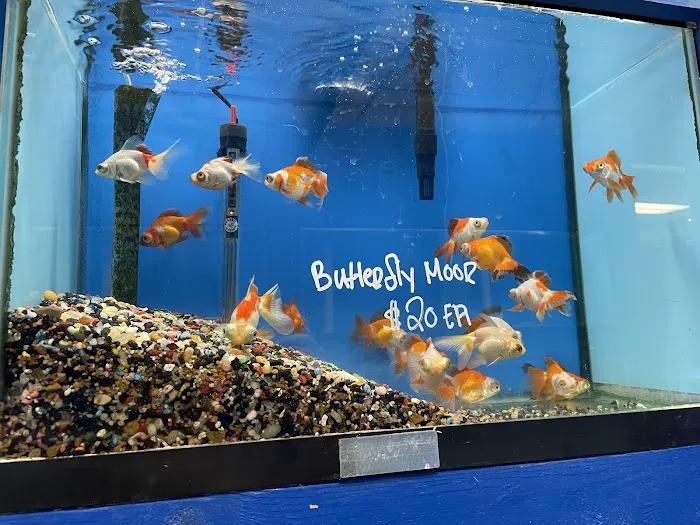 Fondren Fish & Pets Picture 7