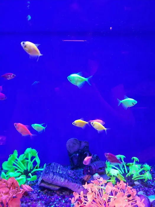 Fondren Fish & Pets Picture 3