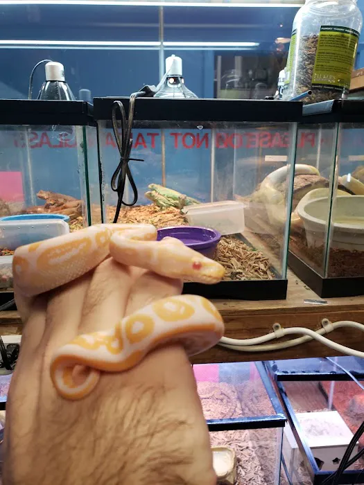 Fondren Fish & Pets Picture 10