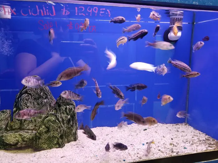 Fondren Fish & Pets Picture 5