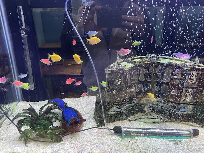 Fondren Fish & Pets Picture 9